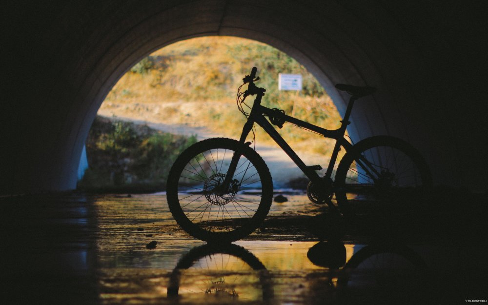 Пейзаж с велосипедом