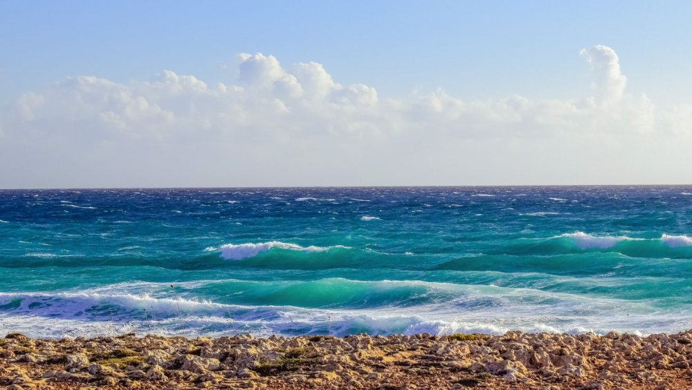 Морское побережье панорама