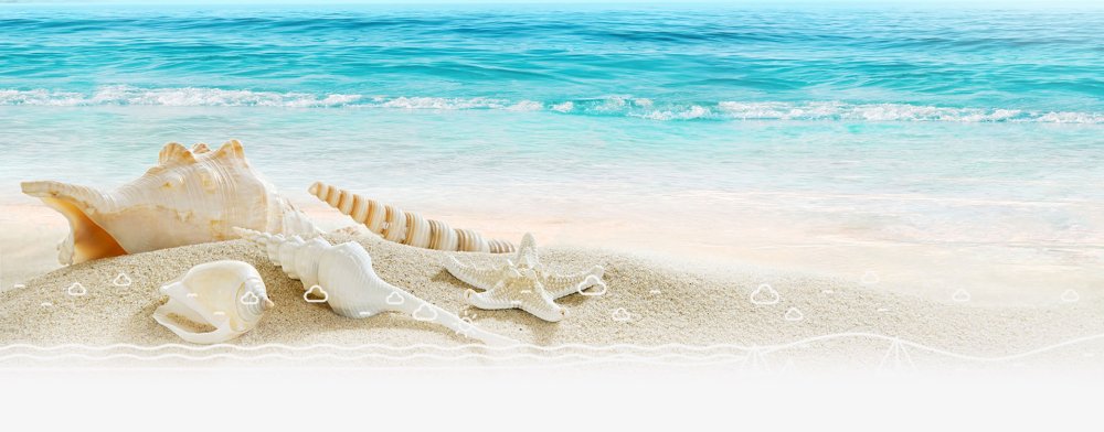 Белый песок море ракушки