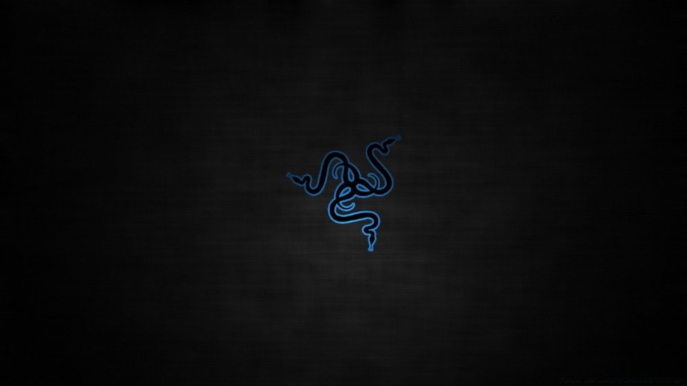 Рейзер 1920x1080