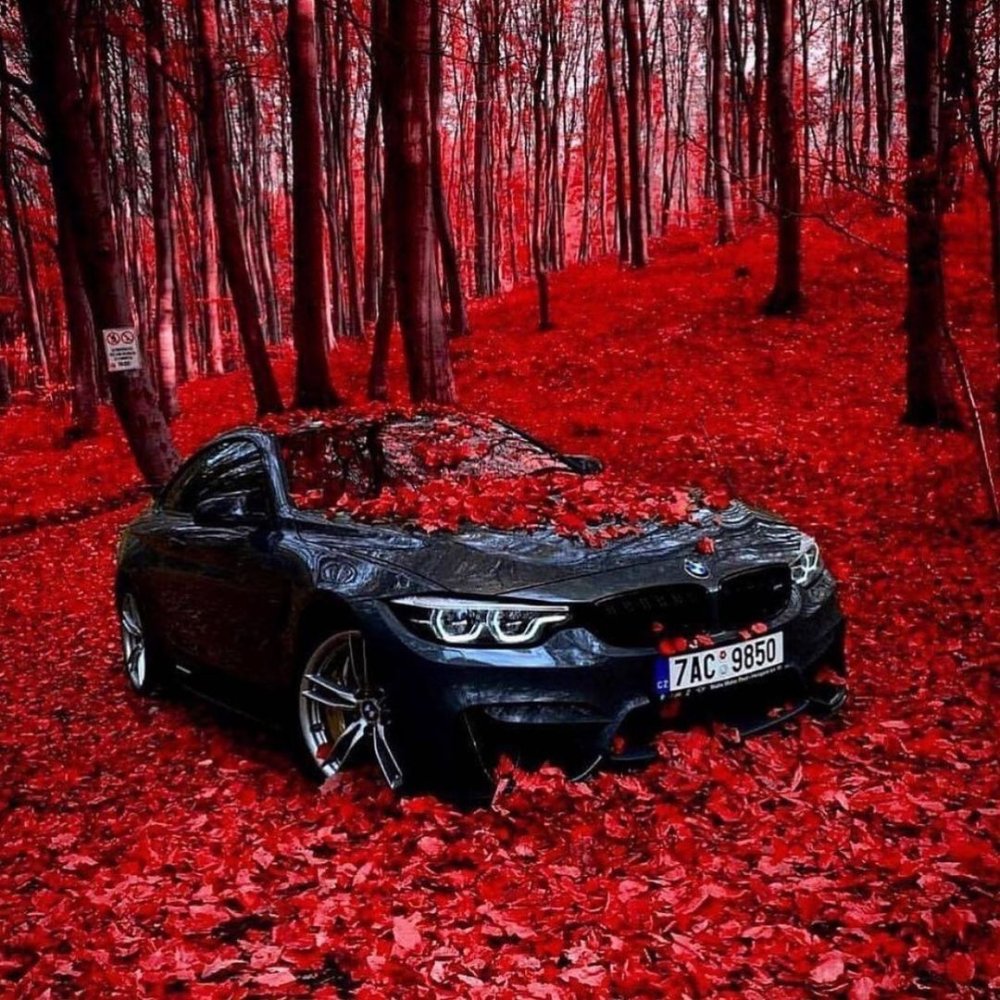 Парень около машины