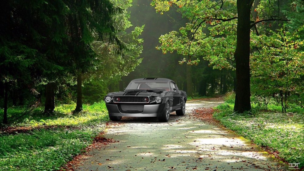 Авто на природе