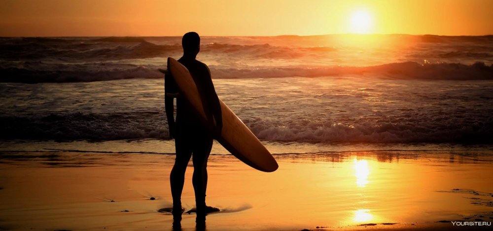 Серфингист со спины