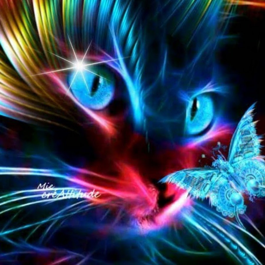 Светящиеся котики