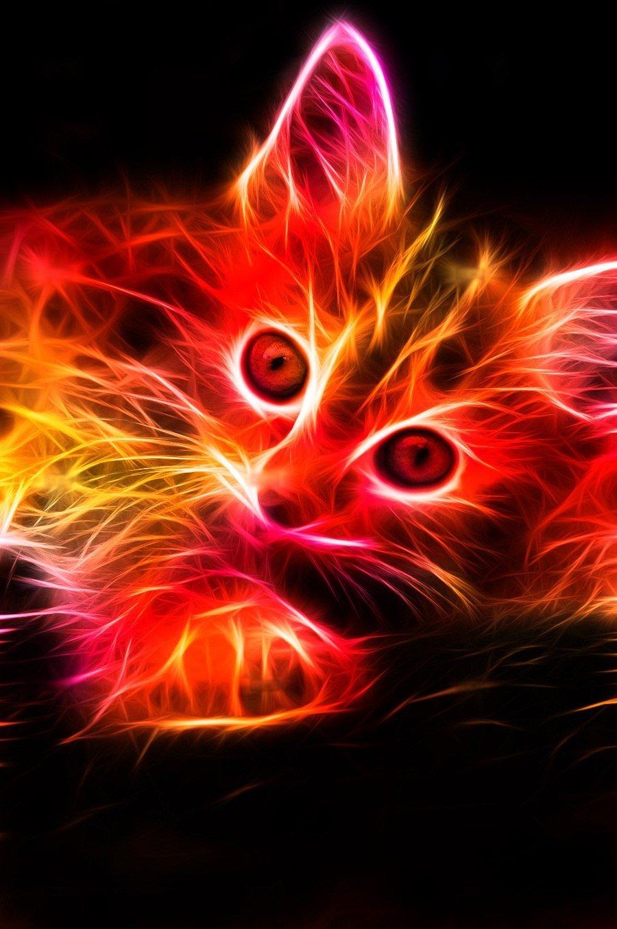 Светящиеся кошки