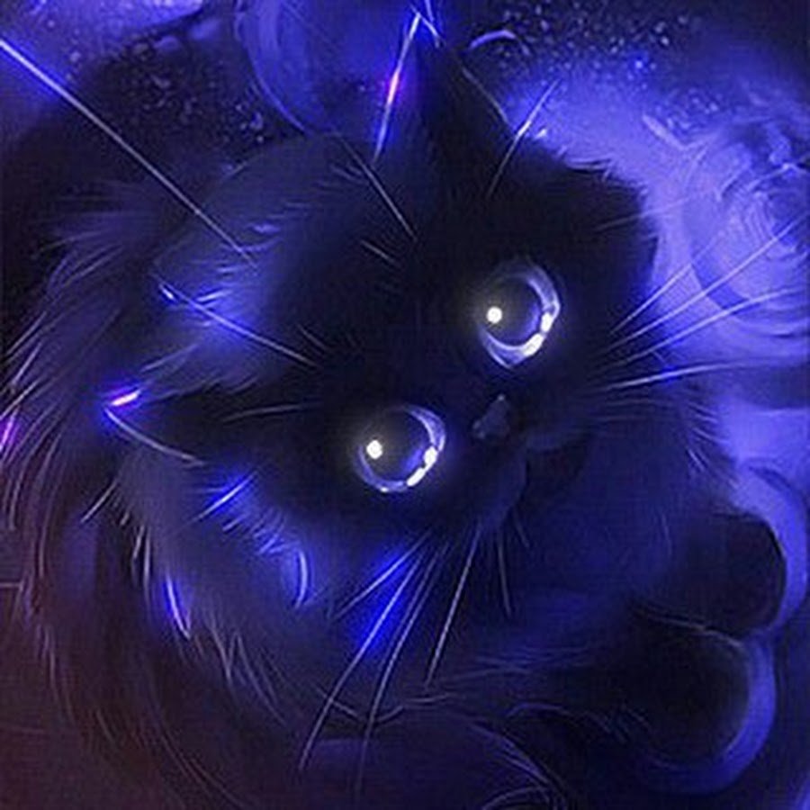 Котики в фиолетовом неоне