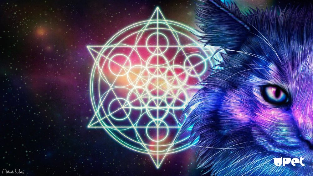 Космос арт животные