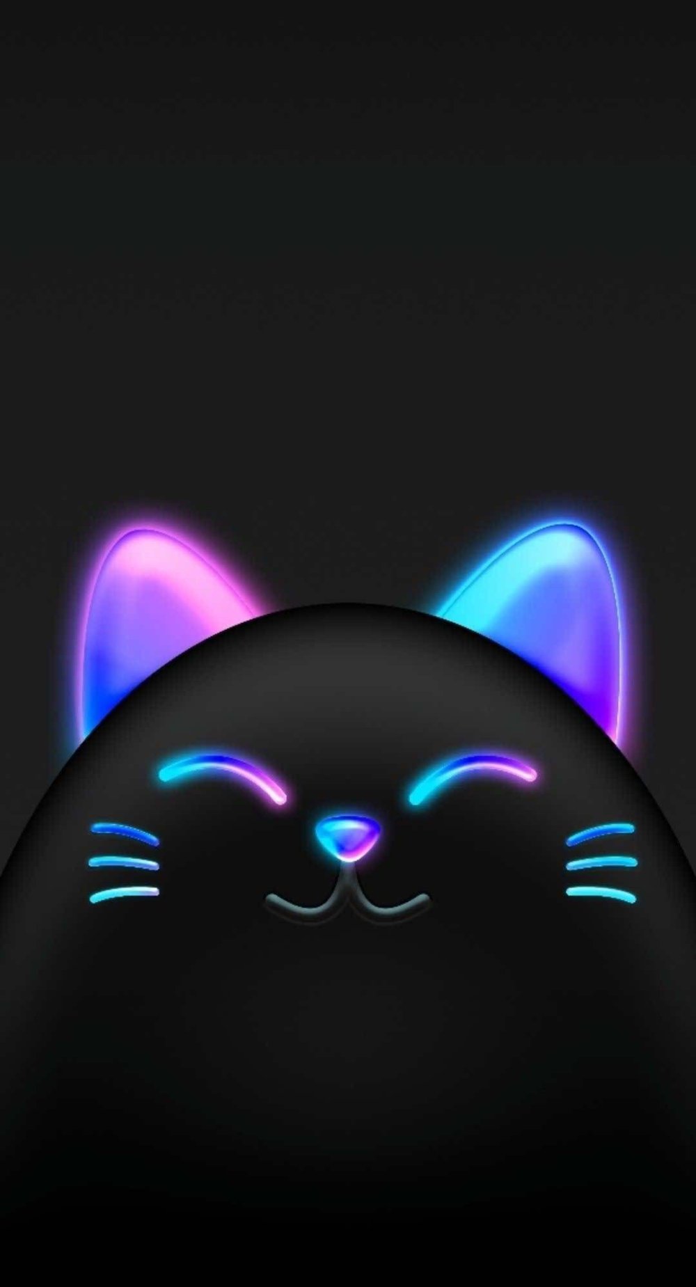 Черный кот ночью