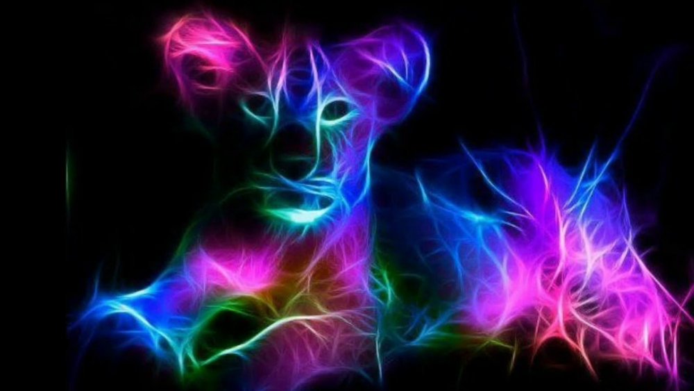 Космический кот