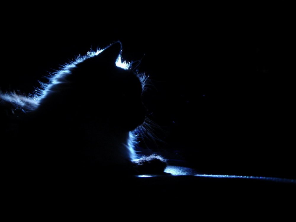 Флуоресцентная краска