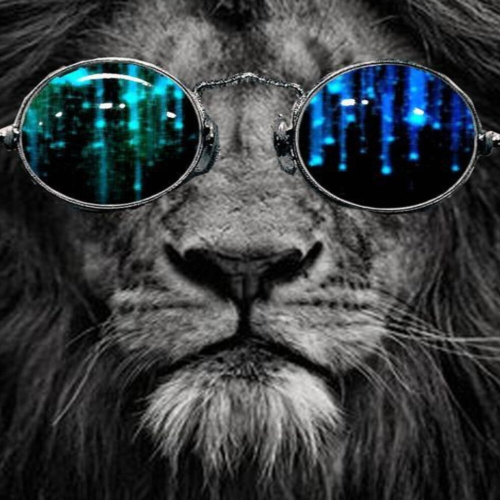 Костюм Льва