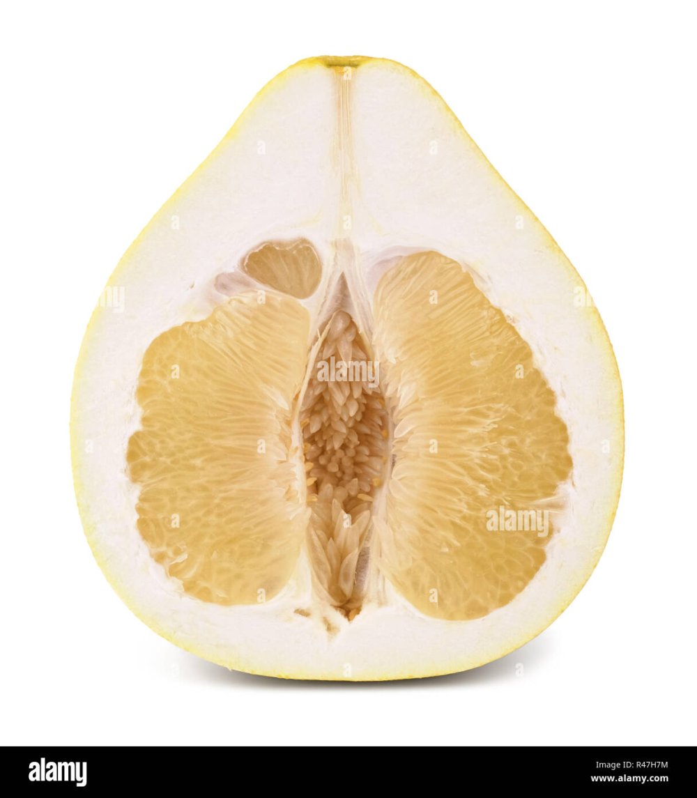 Помело стоковое