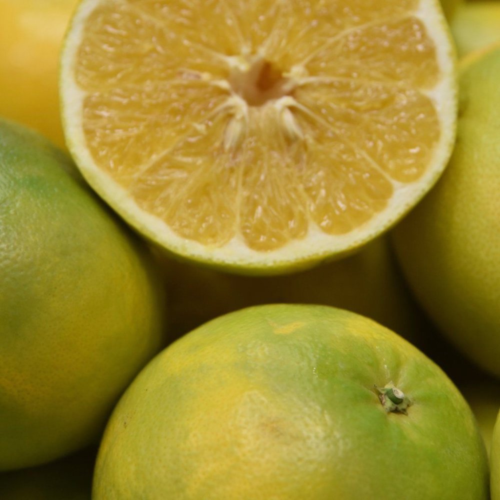 Грейпфрут и апельсин дольки