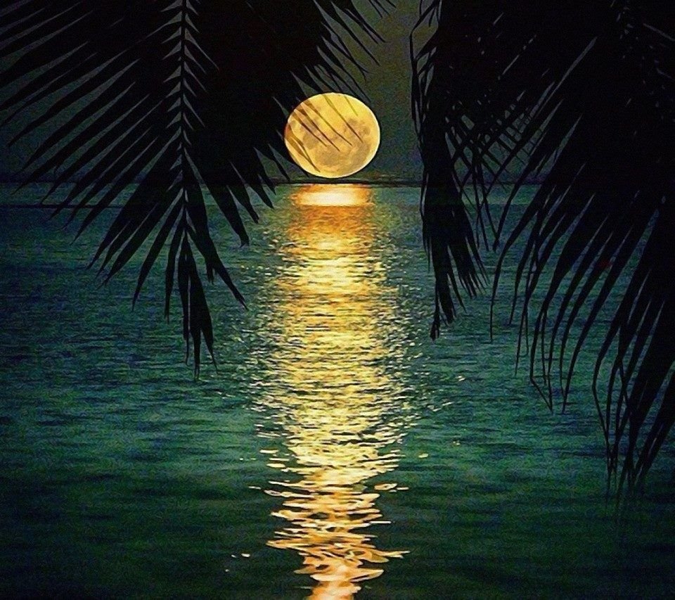 Клод Дебюси «лунный свет»