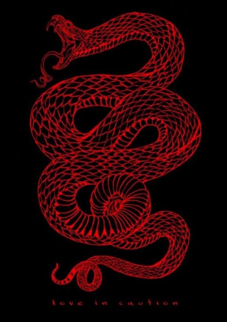 Северный узел Раху