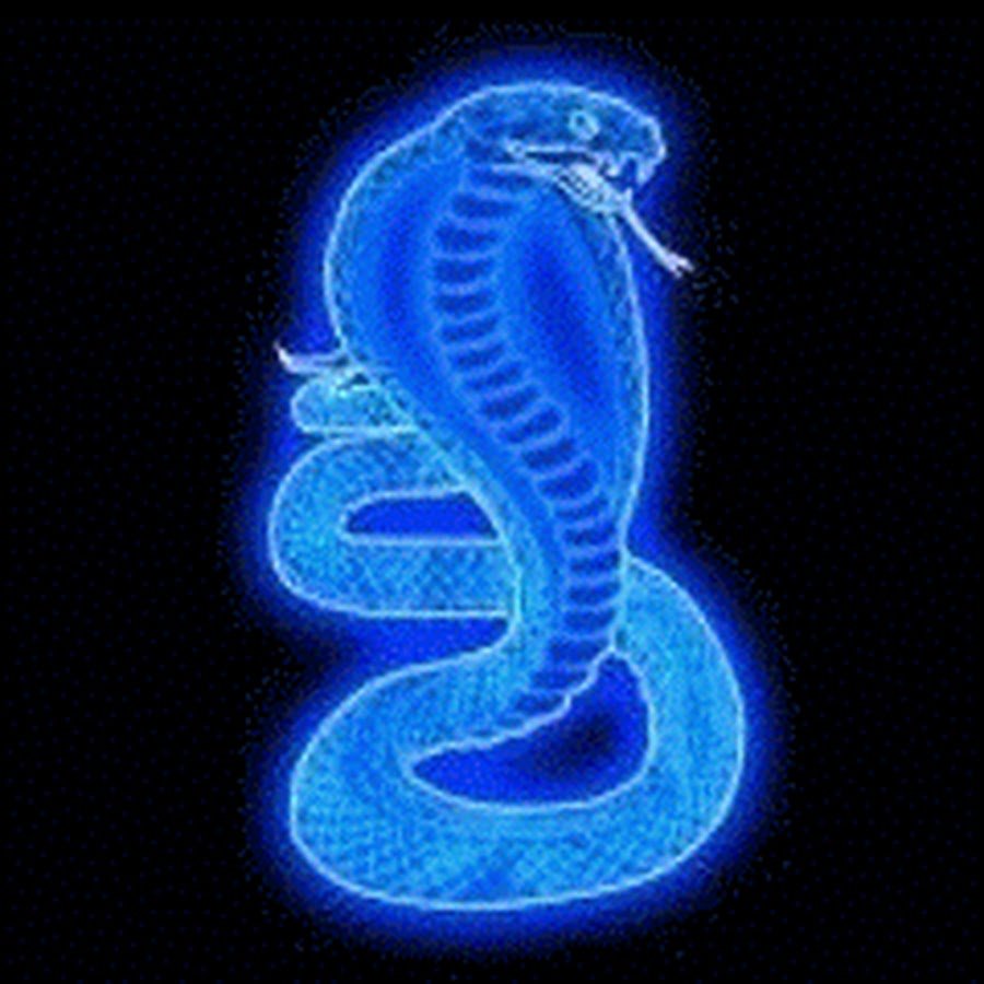 Панна золотой дракон