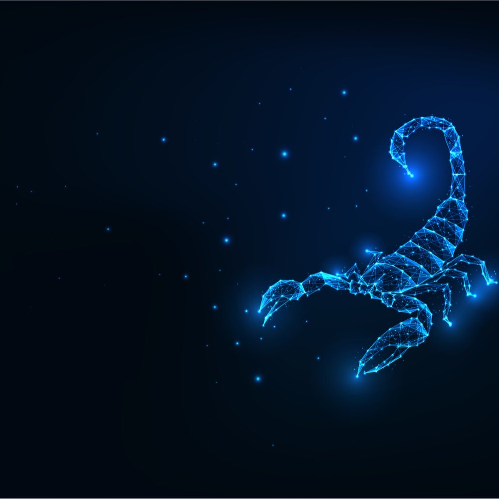 Скорпион картинки красивые