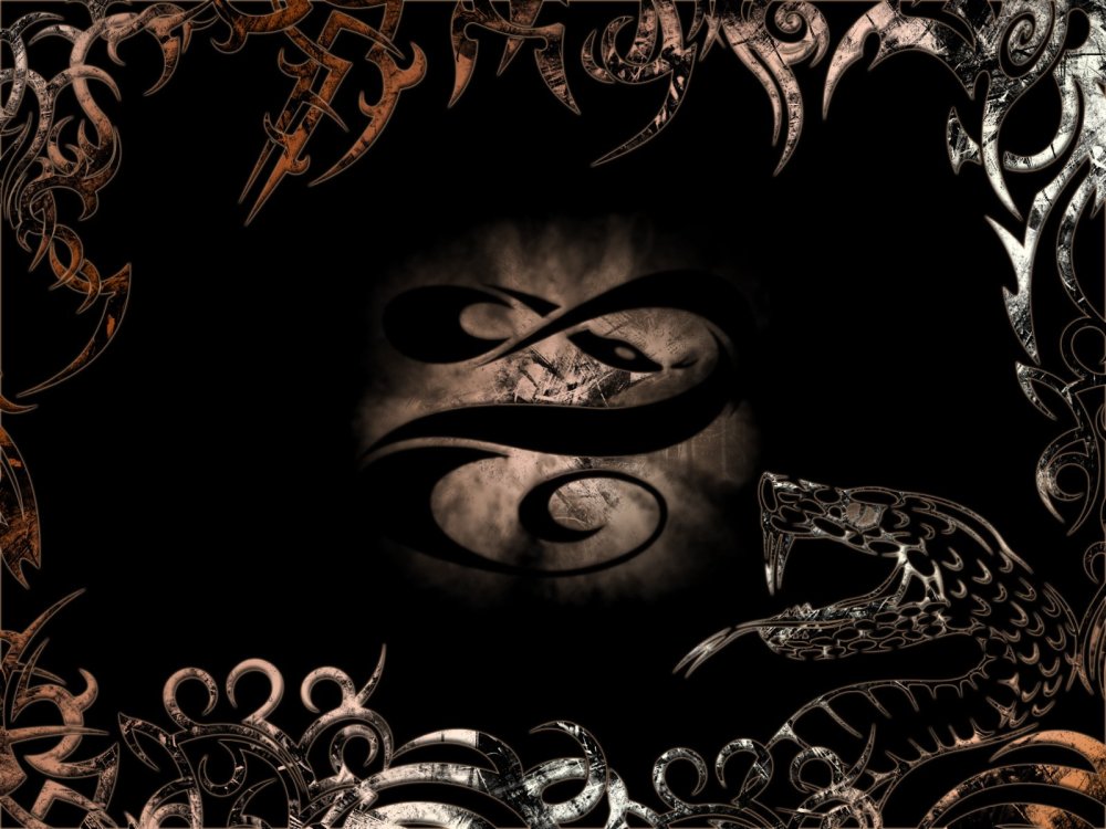 Королевская Кобра против черной мамбы