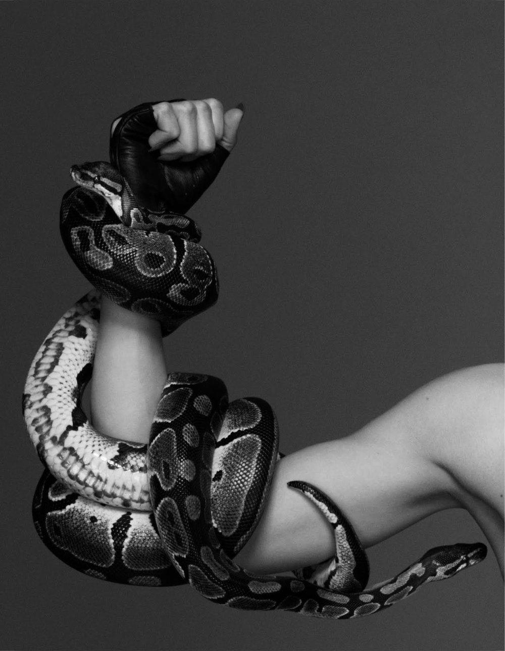 Кобра символ