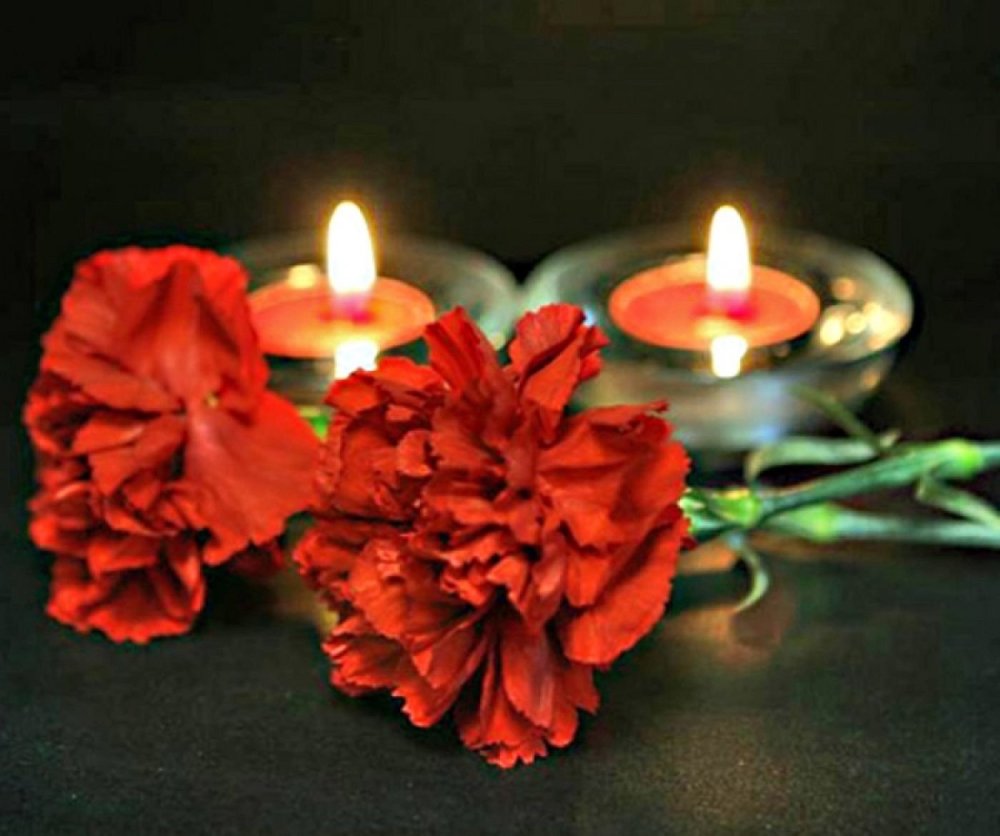 Красные гвоздики рамка