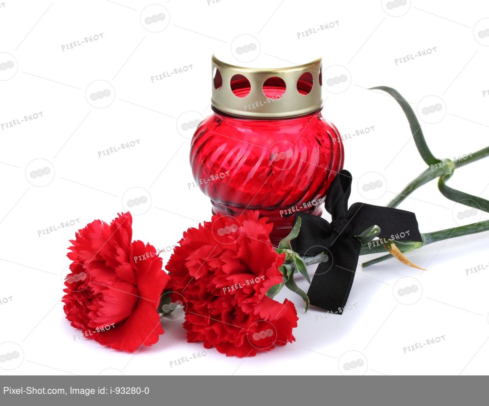 Рамка из гвоздик