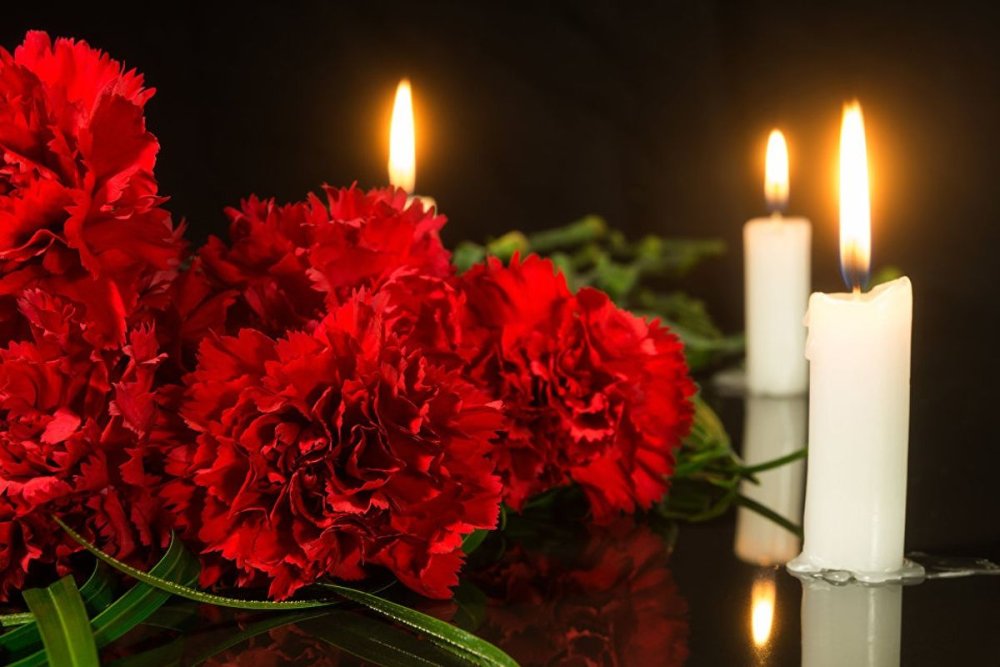 Гвоздики похоронные цветы