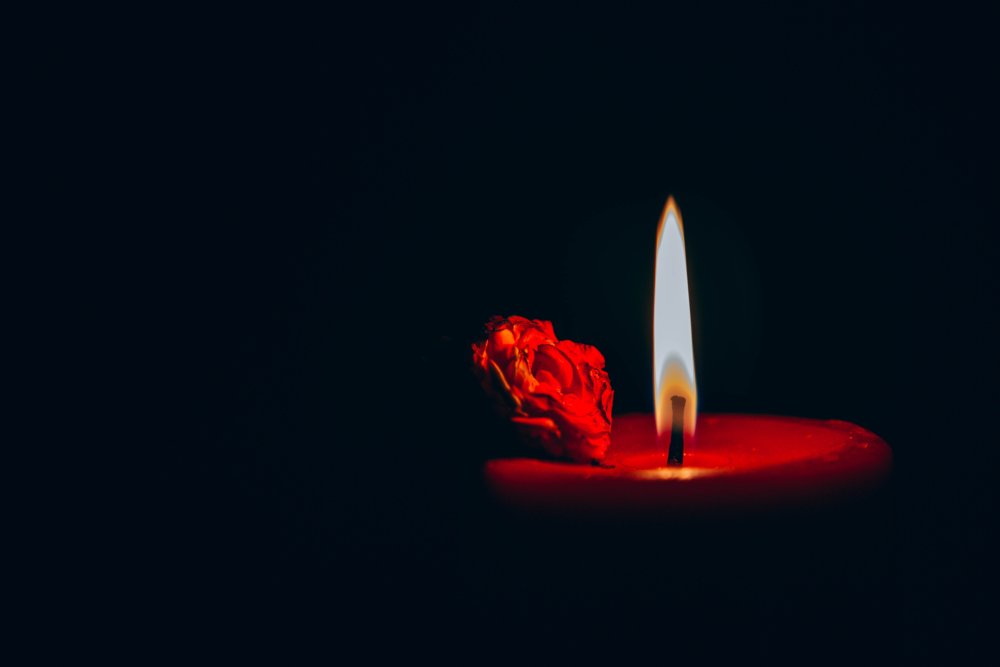 Лампада и гвоздики