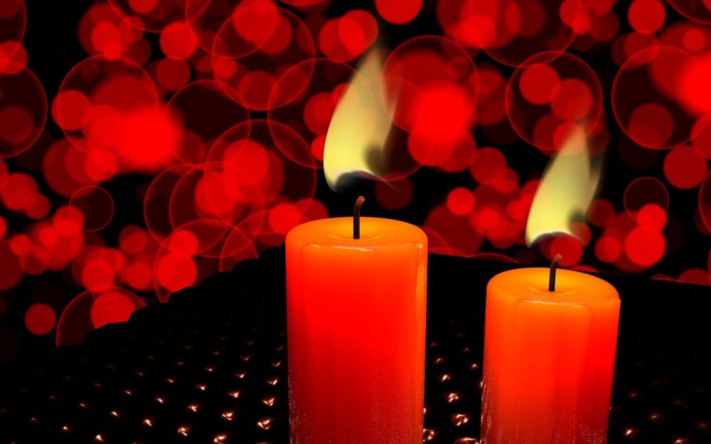 Гвоздики траур