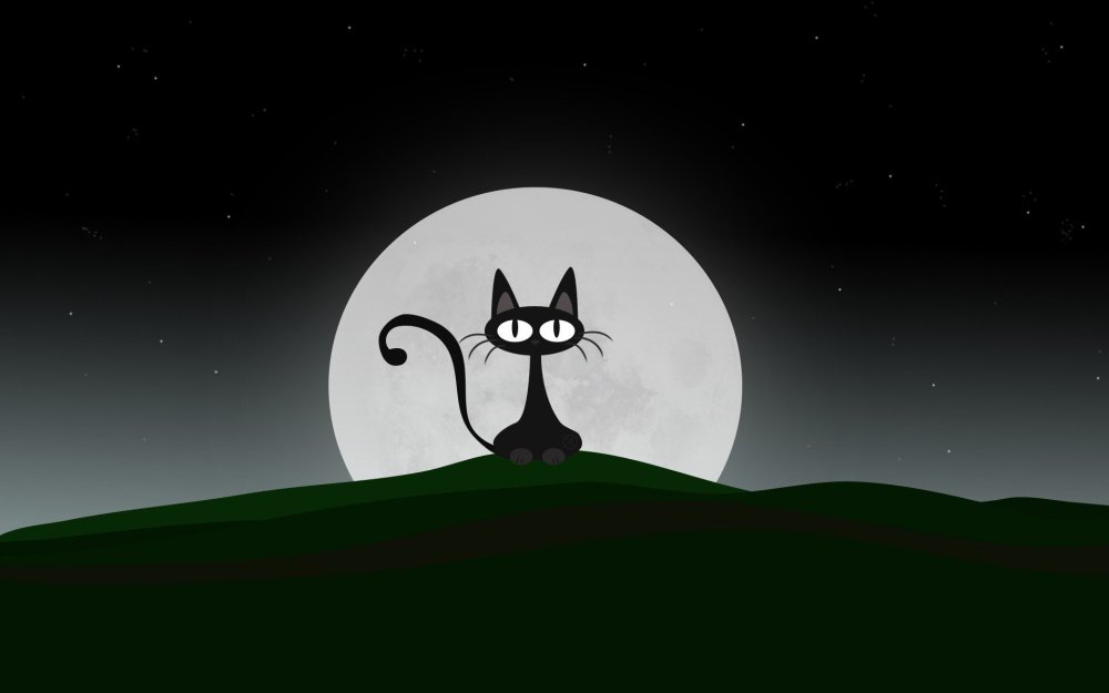 Черный кот на дереве