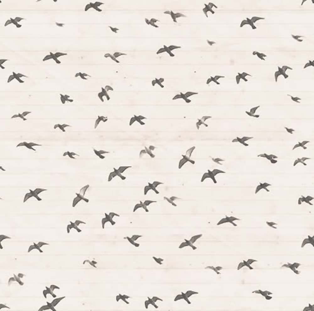 Паттерн птицы