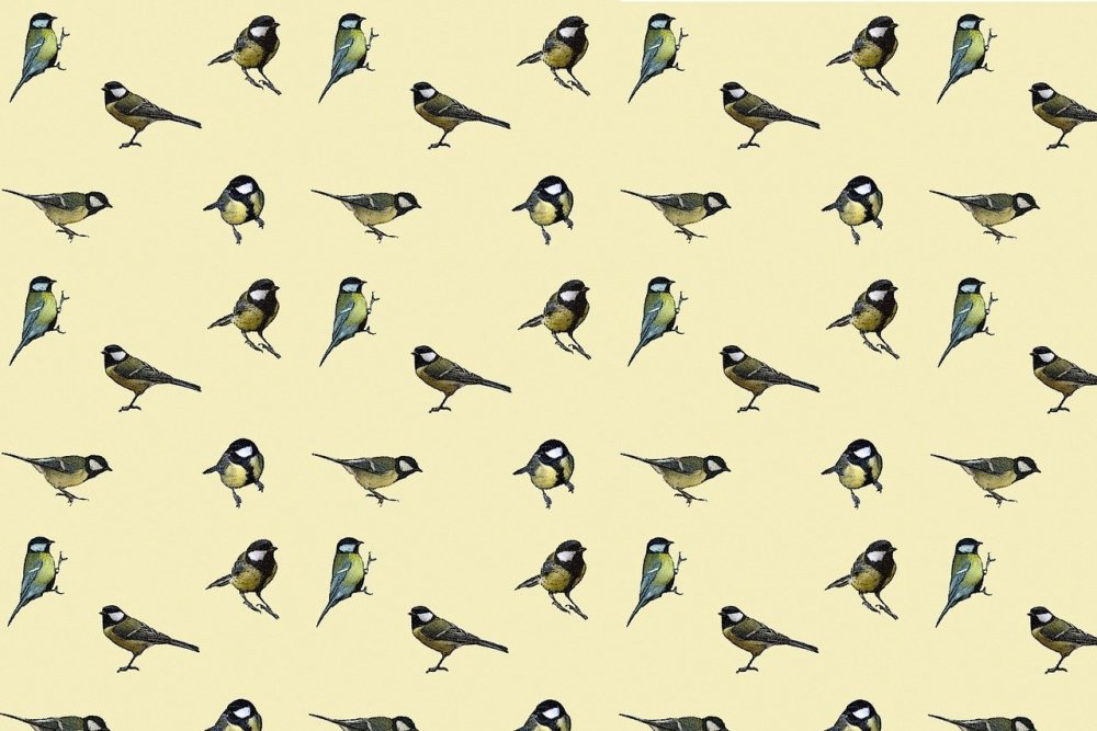 Много маленьких птичек