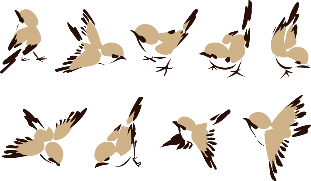 Птичка вектор