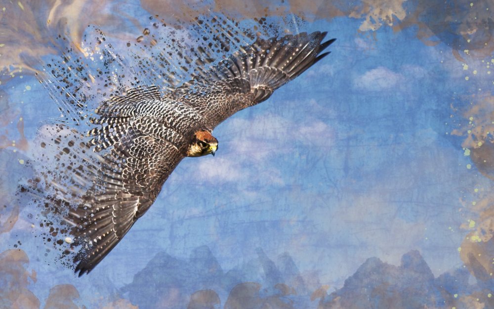 Сокол в небе