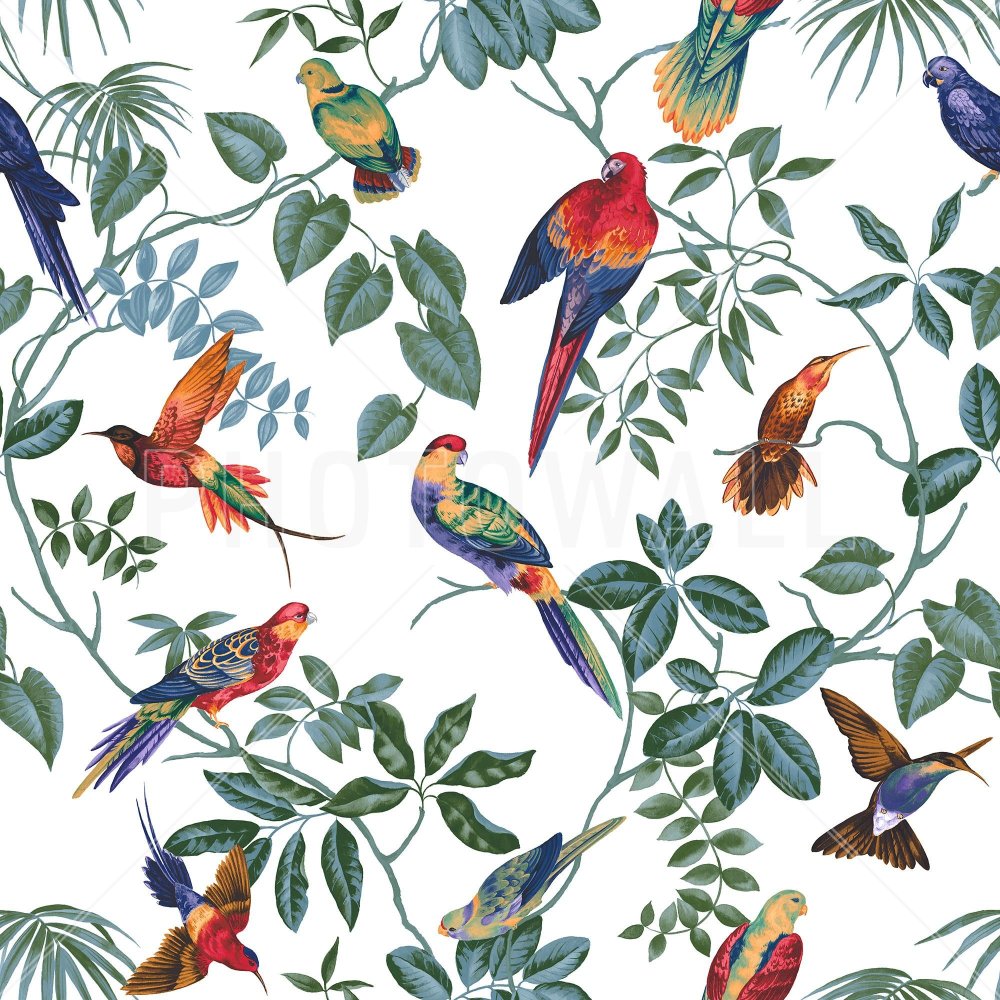 Орнамент птицы