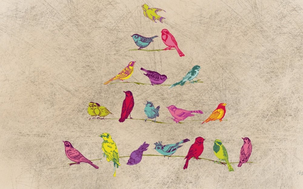 Птица на Цветном фоне