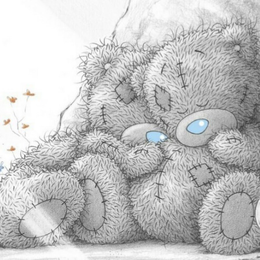 Обои с медведем мультяшные