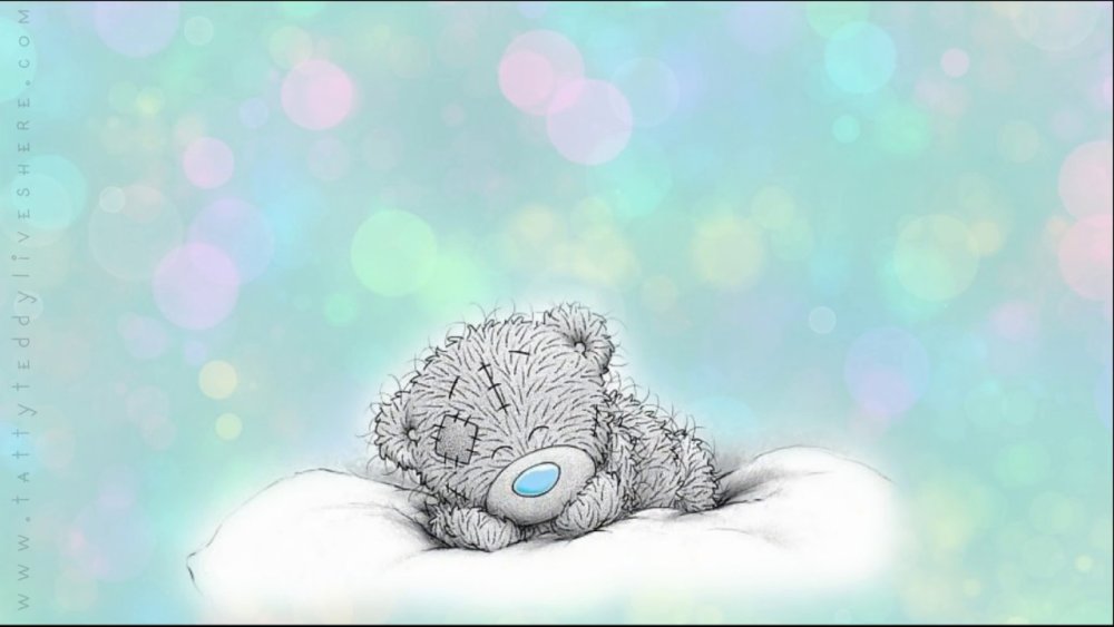 Милый белый мишка на обои