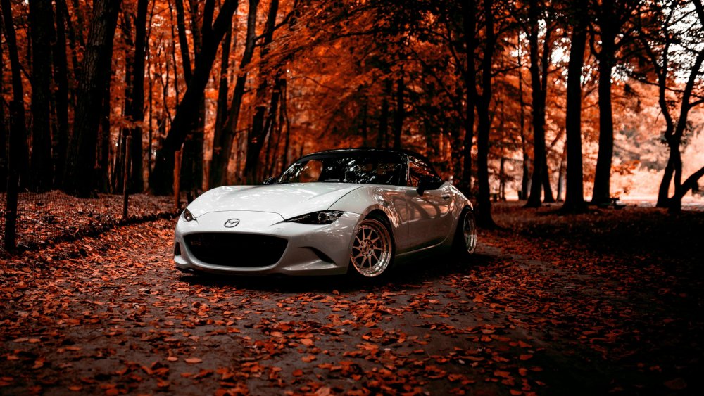 Крутые обои