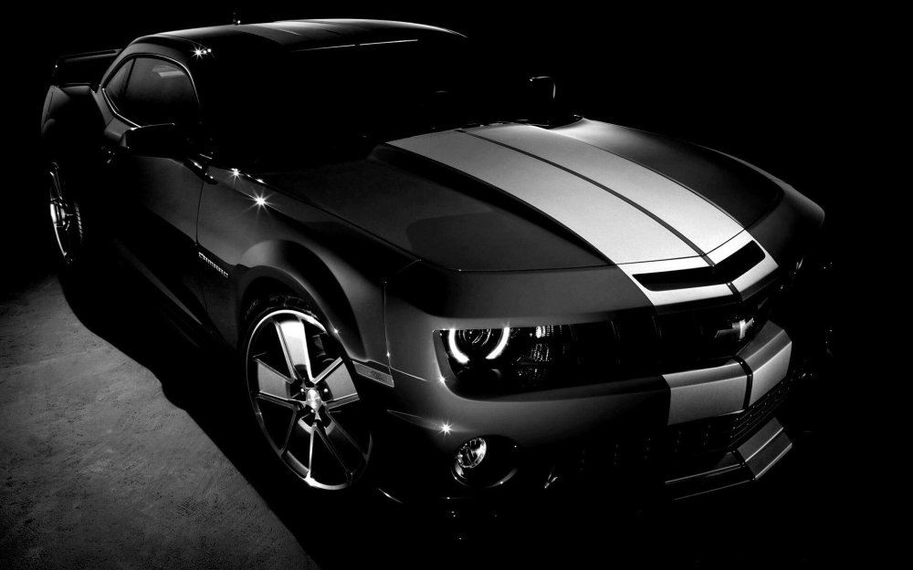 Форд Мустанг босс 302