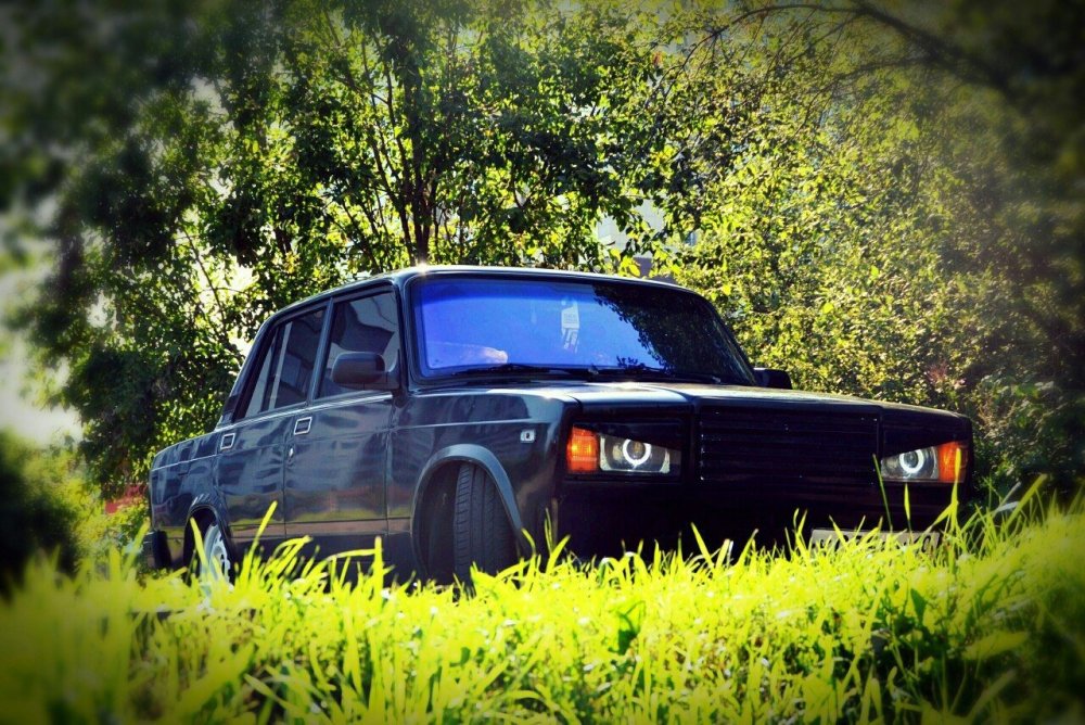 Обои шестерка