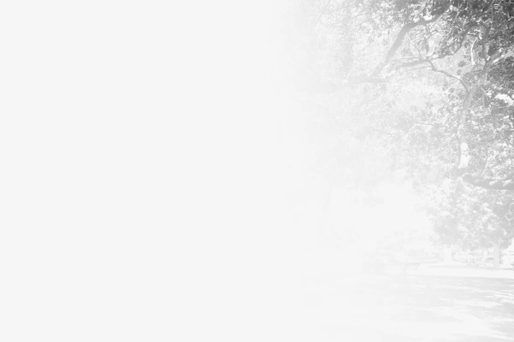 Светло серый фон для презентации