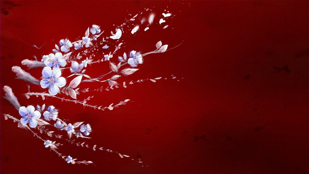 Цветы Сакуры на темном фоне