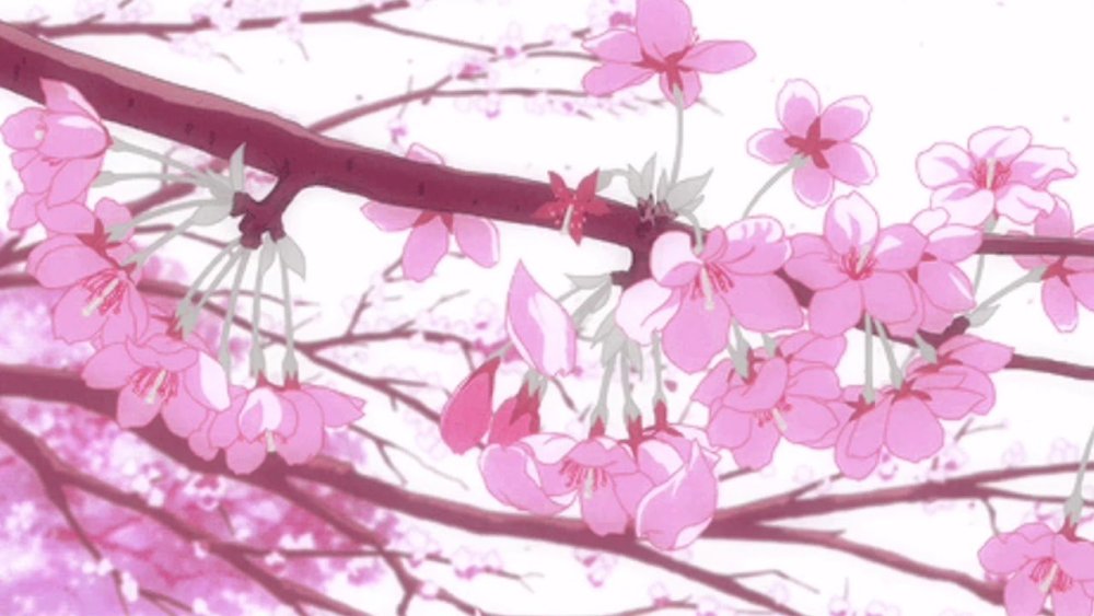 Лепестки Сакуры на ветру