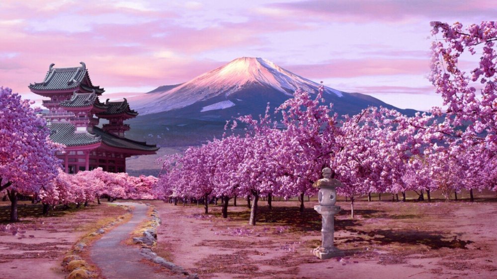Черри блоссом аниме