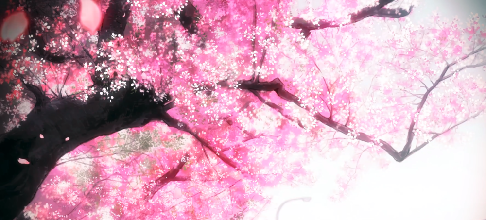 Ветка Сакуры из аниме