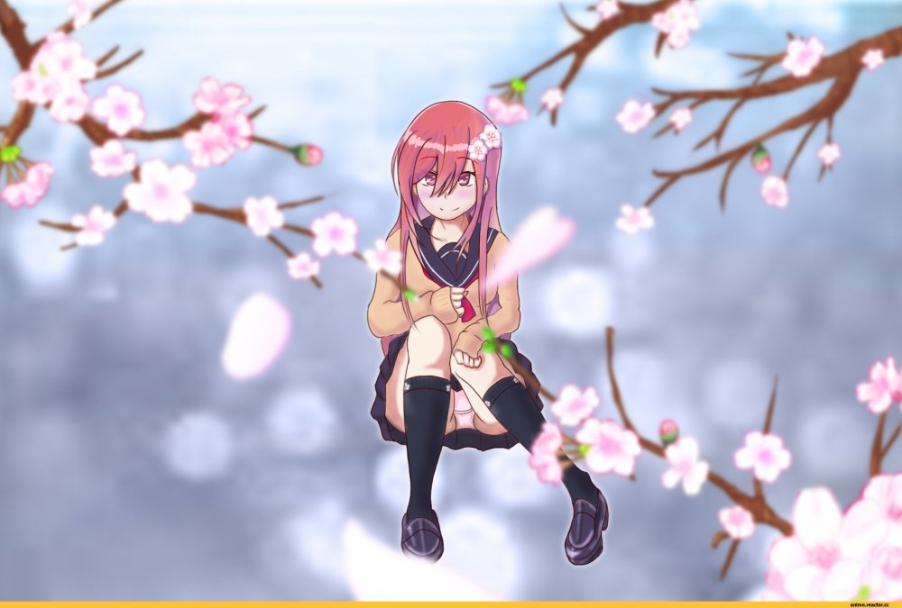 Дерево Сакуры Геншин