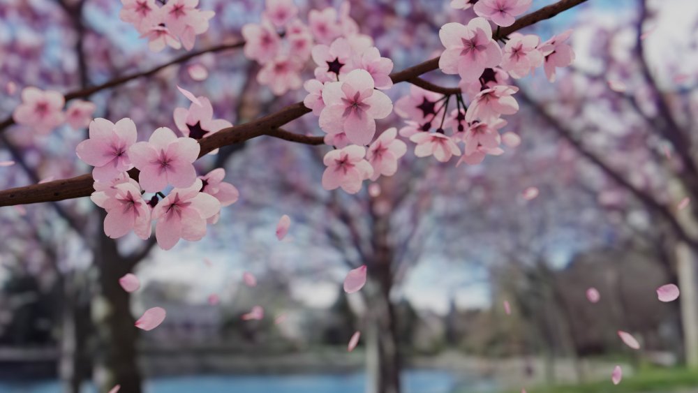 Япония Фудзияма Сакура храм