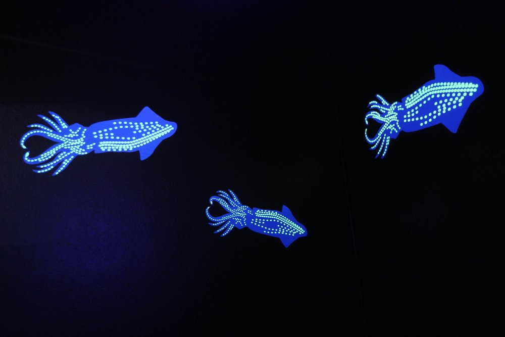 Трансгенные рыбы биолюминесценция