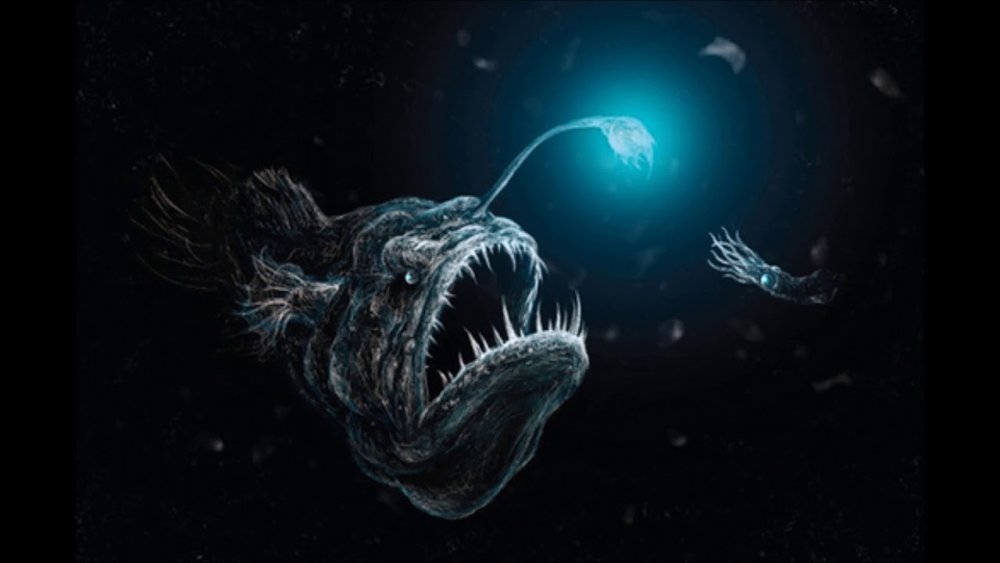 Светящиеся рыбы