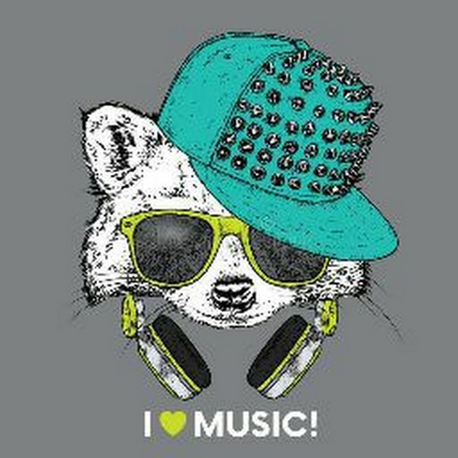 Аватарка енот в очках